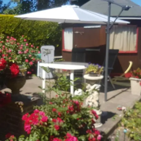 My Dream 奥德多普