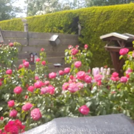 Vakantiehuis My Dream