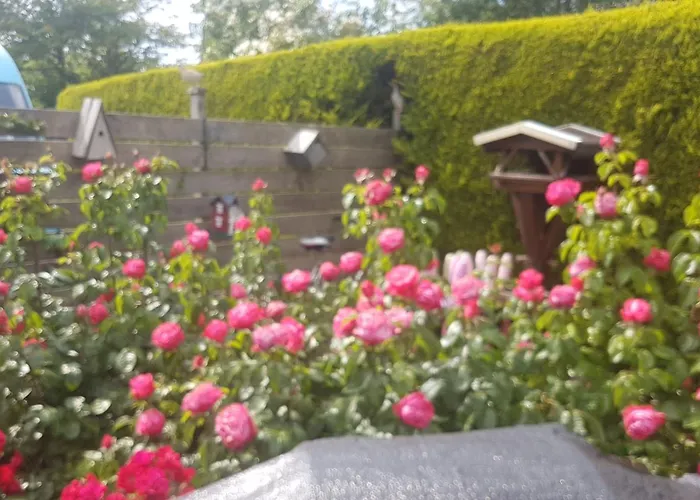 Holiday home My Dream